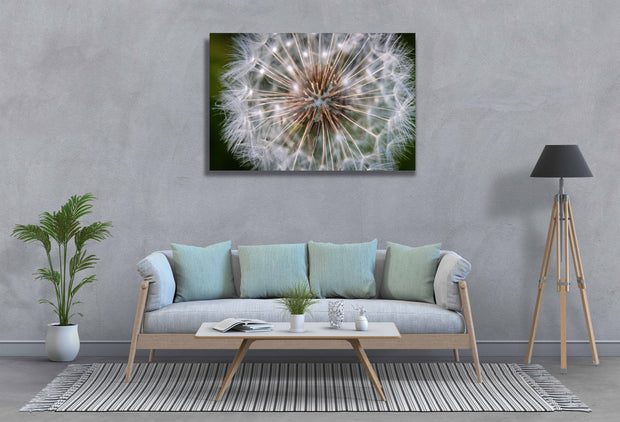 Tablou Canvas - Papadie Vara