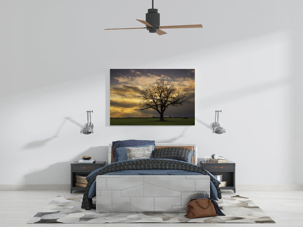 Tablou Canvas - Apus de Toamna