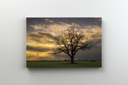 Tablou Canvas - Apus de Toamna