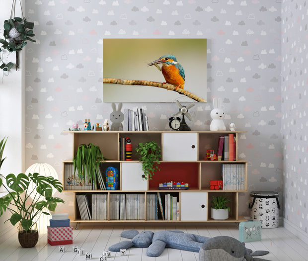 Tablou Canvas - Kingfisher