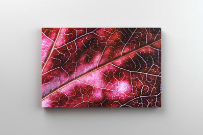 Tablou Canvas - Frunza Texturata