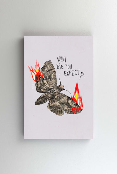 Tablou Canvas - Like a moth to a flame