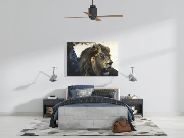 Tablou Canvas - Leu