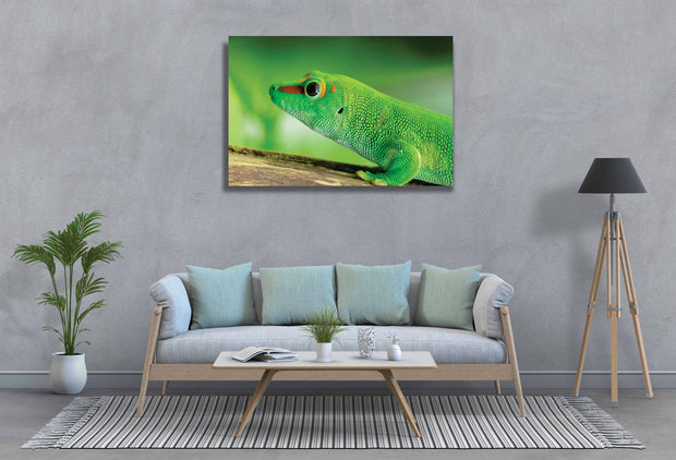 Tablou Canvas - Soparla Gecko