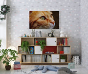 Tablou Canvas - Pisica