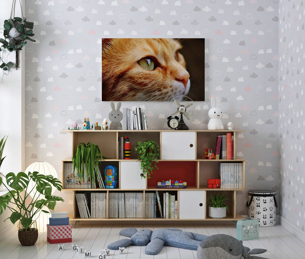 Tablou Canvas - Pisica