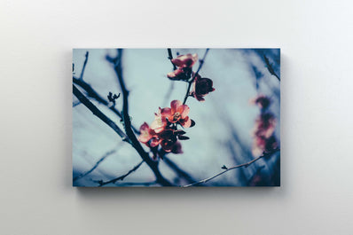 Tablou Canvas - Cold Spring