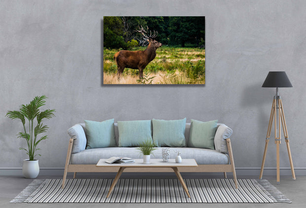 Tablou Canvas - Cerb