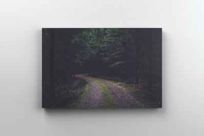 Tablou Canvas - Drum Forestier