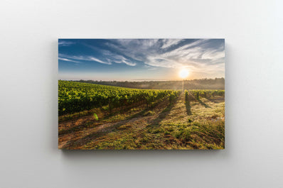 Tablou Canvas - Toscana