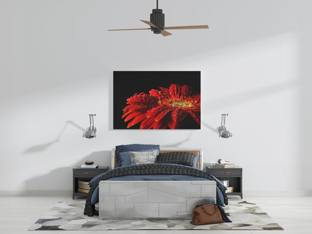 Tablou Canvas - Floare Rosie