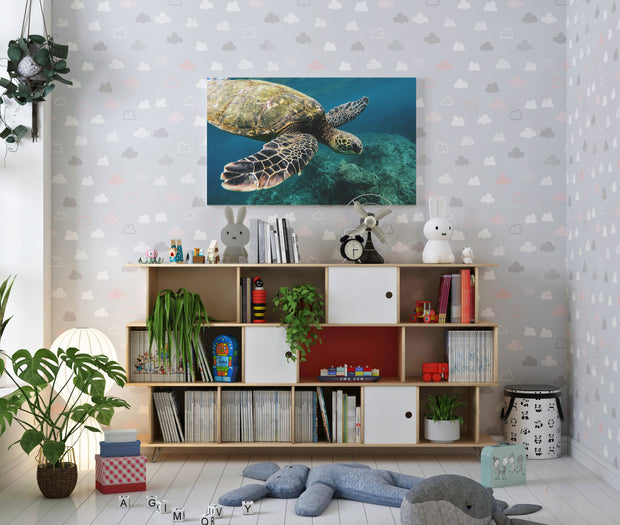 Tablou Canvas - Broasca Testoasa